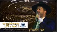 אלי הרצליך המנגנים מלכות המלאך | גרפיקה