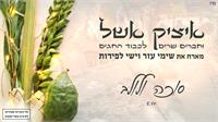 גרפיקה