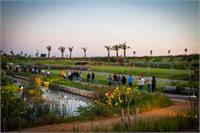 קרדיט אורי אהרון