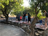שביל רגליים יחפות בשמורת גמלא- צילום: רשות הטבע והגנים