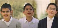 תמונת יח"צ