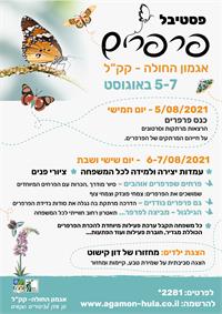 תוכנית הפסטיבל