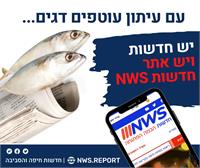 חדשות NWS