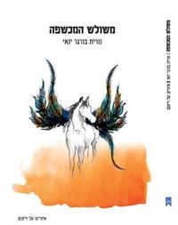 כריכת הספר - "משולש המכשפה"