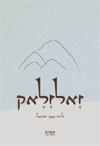 כריכת הספר "זאלזלאק"