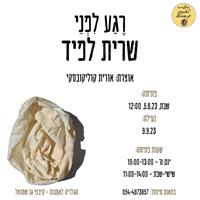 שרית לפיד