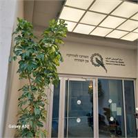 המרכז למוסיקה מן המזרח - הבניין החדש ברחוב מנורה 3, 