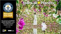 Photo teamLab
