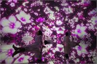 צילום teamLab