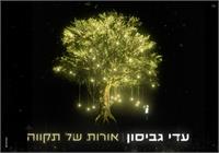 אורות של תקווה - גרפיקה