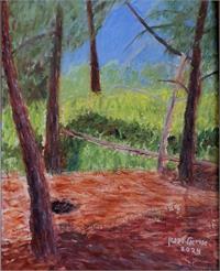 אריאל לבנון