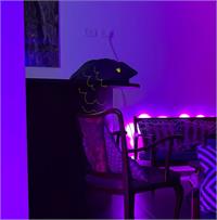 מתוך שושלת אופירה. צילום ערן שראל