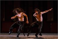 קרדיט pablo mekler (3)