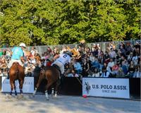 צילום U.S. Polo Assn